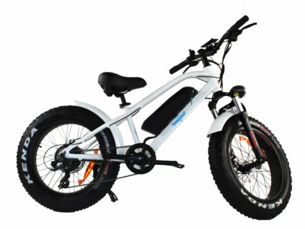 20" Alloy Electric Mountain Bike Samsung Shimano White Throttle Budtrol - Image 2