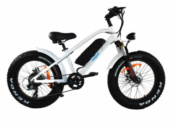 20" Alloy Electric Mountain Bike Samsung Shimano White Throttle Budtrol - Image 3