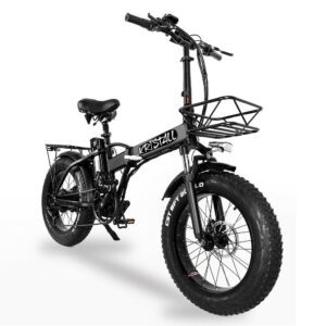 FAT TIRE FOLDING EBIKE