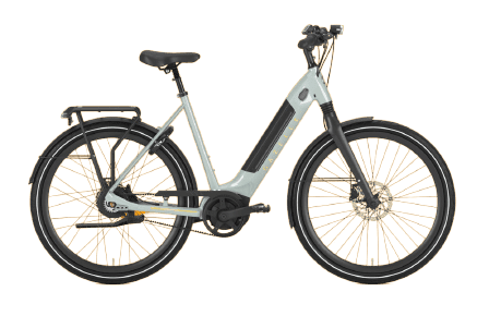 Electric Bike - ERevolution Cycles