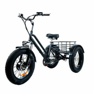 FAT TYRE ELECTRIC BIKE