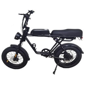 AKEZ 750W 48V R1ZCC Snow Bicycle 20" Electric Bike eBike Battery Black