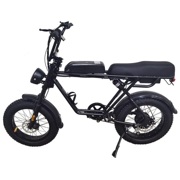 AKEZ 750W 48V R1ZCC Snow Bicycle 20" Electric Bike eBike Battery Black