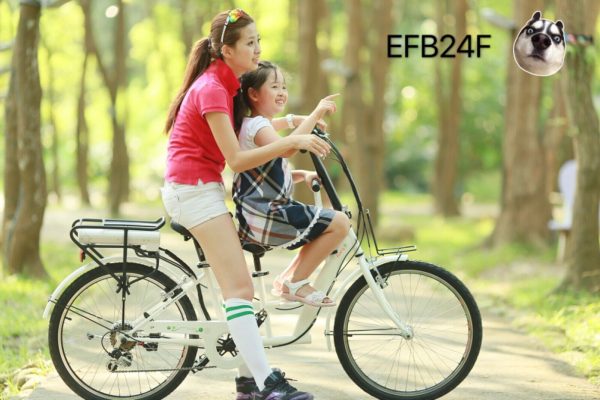NO speed lock Electric Bicycle Taiwan made - Image 3