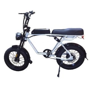 AKEZ 750W 48V R1ZCC Snow Bicycle 20" Electric Bike Battery White