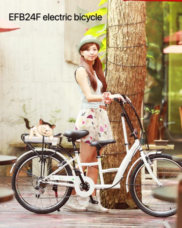 NO speed lock Electric Bicycle Taiwan made - Image 5