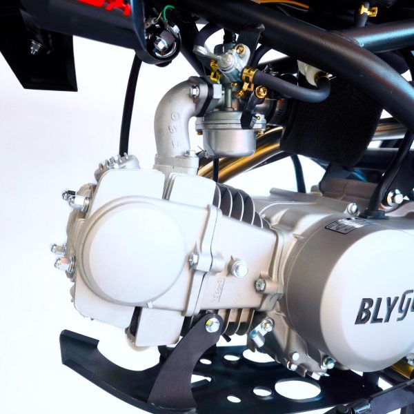 BLYGO – K3 125cc Manual Clutch 4 Gears Kick Start PIT Dirt Bike - Image 6