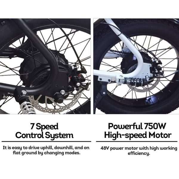 AKEZ 750W 48V R1ZCC Snow Bicycle 20" Electric Bike Battery Black - Image 10