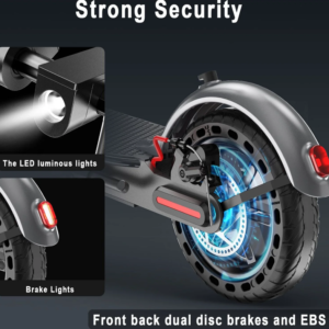 Electric Scooter 800W