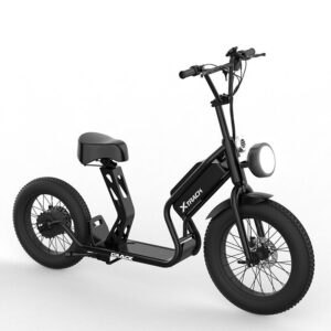 Electric Scooter 800W – Ultimate Water Resistant Commuter Bike for All Terrains