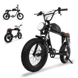 Electric Bike Scooter 800W Waterproof Off-Road Bicycle - IPX4 Monster