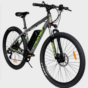 Electric Bike Throttle