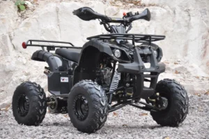 125cc farm quad bike ATV automatic reverse