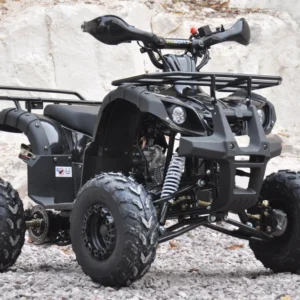 125cc farm quad bike ATV automatic reverse