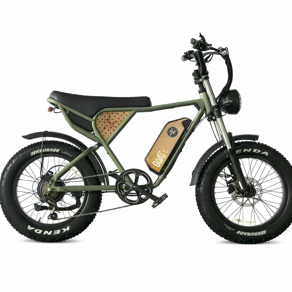 GOAT T3 Practical Fat Tire Electric Bike - Image 4
