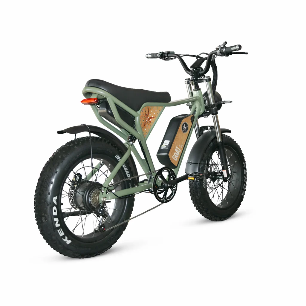 GOAT T3 Practical Fat Tire Electric Bike - Image 5