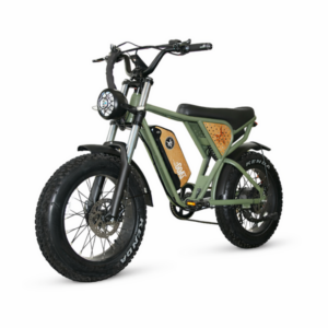 GOAT T3 electric bike with fat tyres and suspension